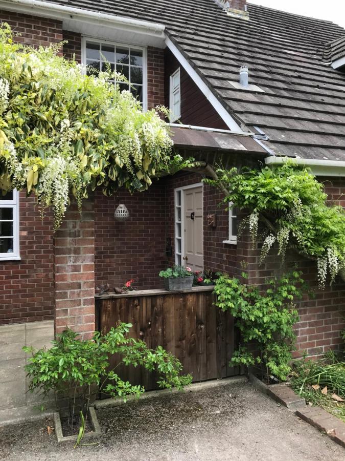 Woodsford High Mead Bed & Breakfast エクステリア 写真